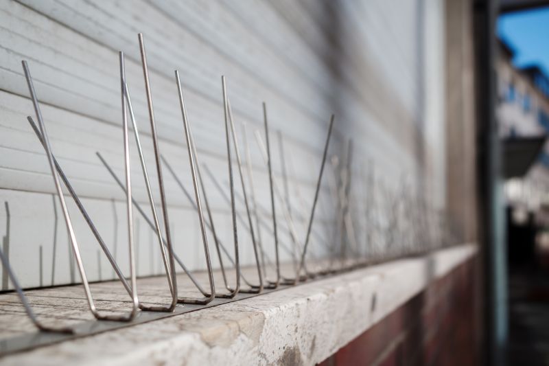 Bird Spikes Installation