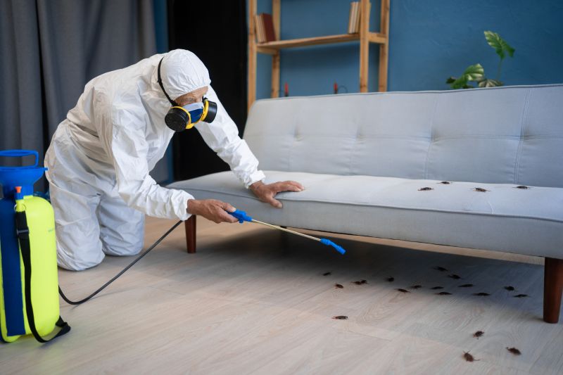 Cockroach Fumigation Service detail
