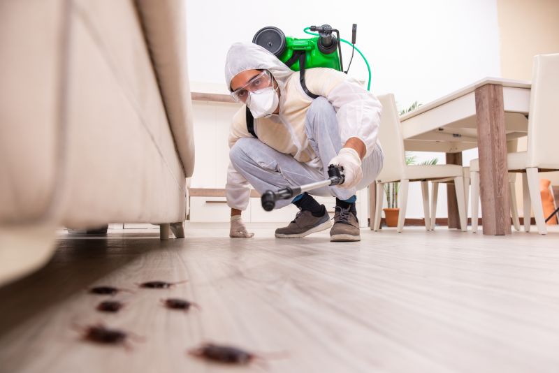 Residential Pest Control detail