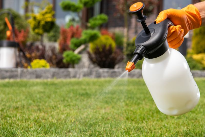 Lawn Insect Spraying
