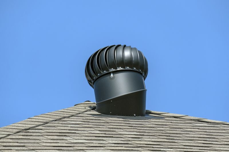 Vent Bird Removal