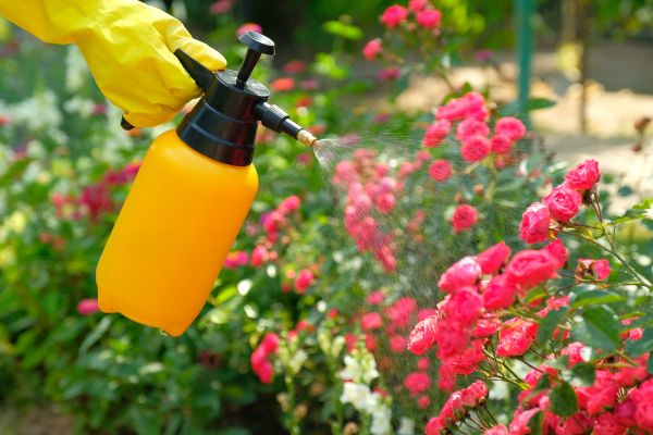 Garden Pest Control