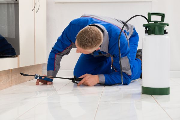 Bug Removal