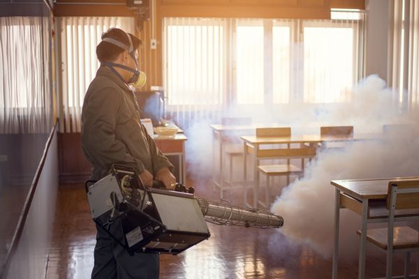 Flying Insect Control