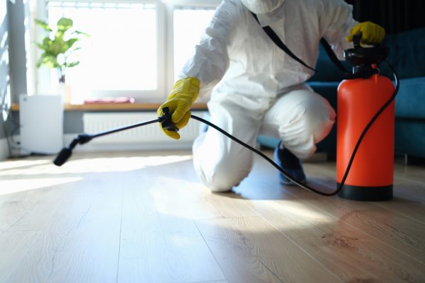 Pest Elimination Service