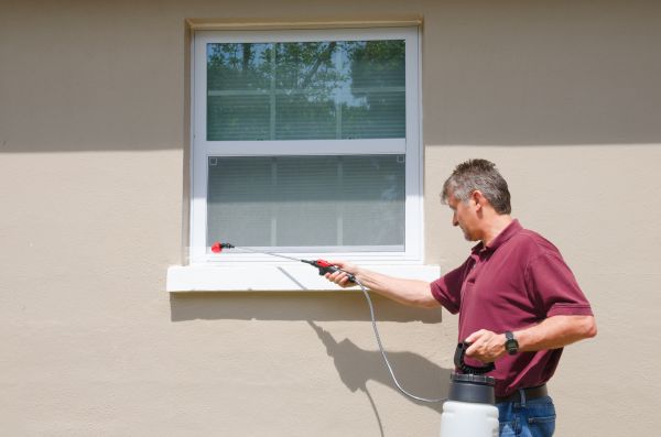 Pest Prevention Service