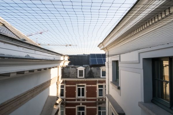 Pigeon Barrier Installation Service