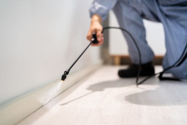 Pest Eradication Service