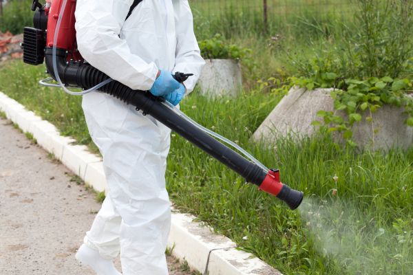 Yard Pest Control Service