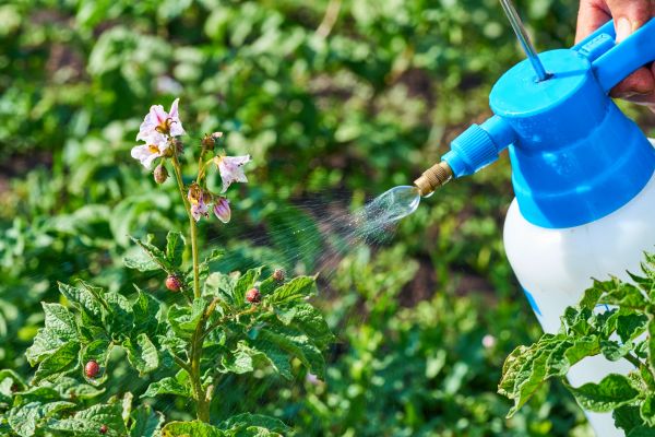 Outdoor Insect Control